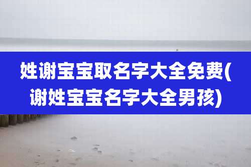 姓谢宝宝取名字大全免费(谢姓宝宝名字大全男孩)