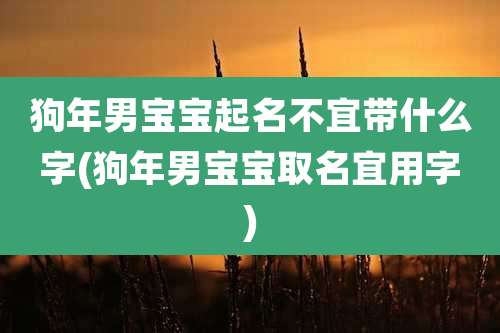 狗年男宝宝起名不宜带什么字(狗年男宝宝取名宜用字)