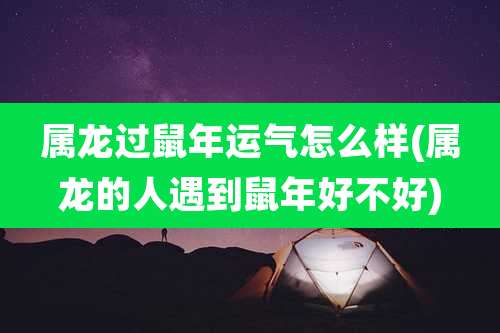 属龙过鼠年运气怎么样(属龙的人遇到鼠年好不好)