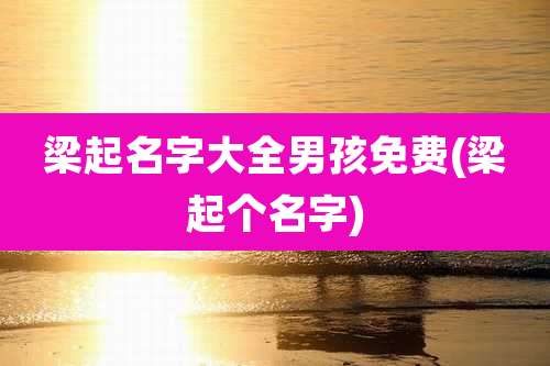 梁起名字大全男孩免费(梁起个名字)
