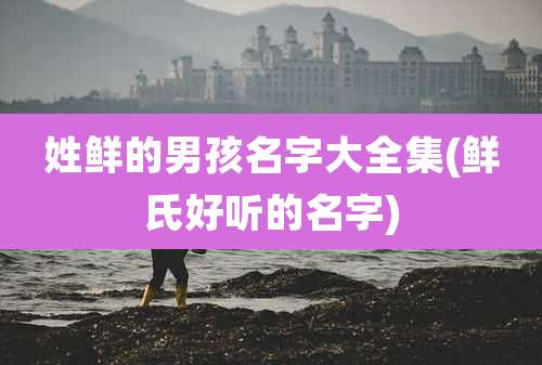 姓鲜的男孩名字大全集(鲜氏好听的名字)