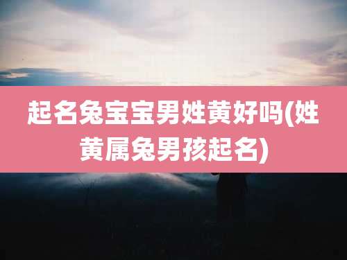 起名兔宝宝男姓黄好吗(姓黄属兔男孩起名)