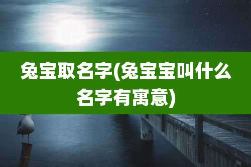 兔宝取名字(兔宝宝叫什么名字有寓意)