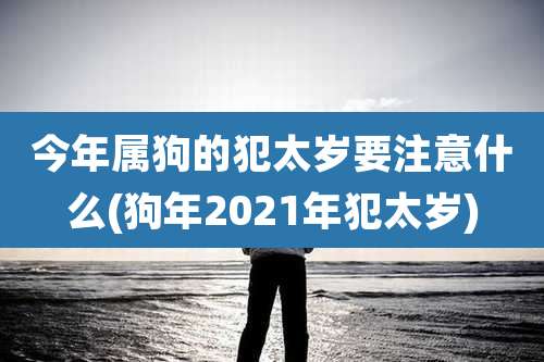 今年属狗的犯太岁要注意什么(狗年2021年犯太岁)