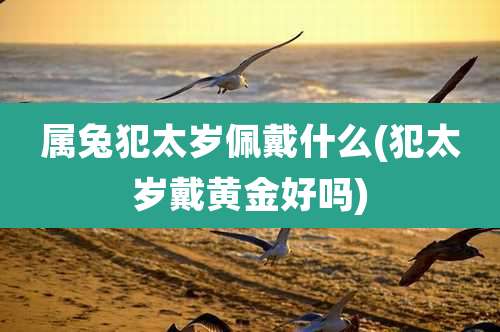 属兔犯太岁佩戴什么(犯太岁戴黄金好吗)