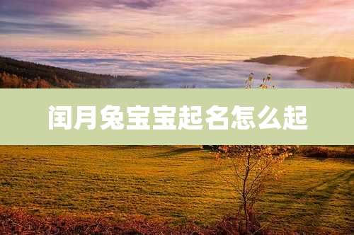 闰月兔宝宝起名怎么起