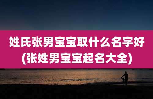 姓氏张男宝宝取什么名字好(张姓男宝宝起名大全)