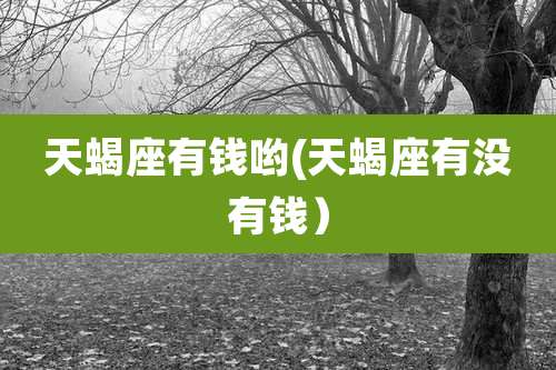 天蝎座有钱哟(天蝎座有没有钱）