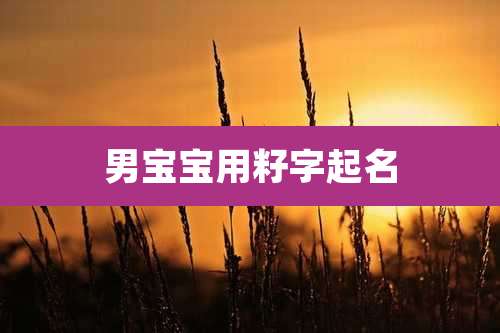 男宝宝用籽字起名