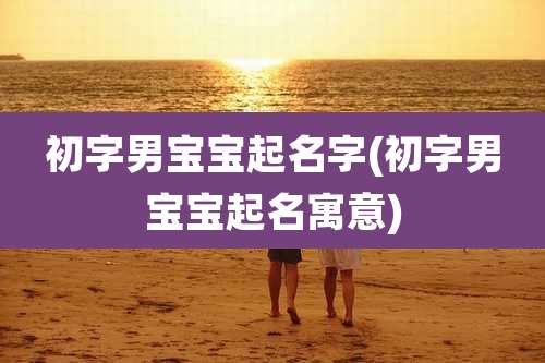 初字男宝宝起名字(初字男宝宝起名寓意)