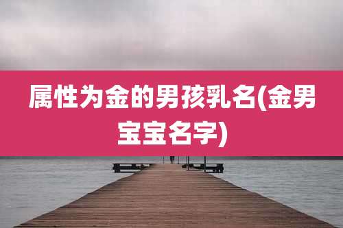 属性为金的男孩乳名(金男宝宝名字)