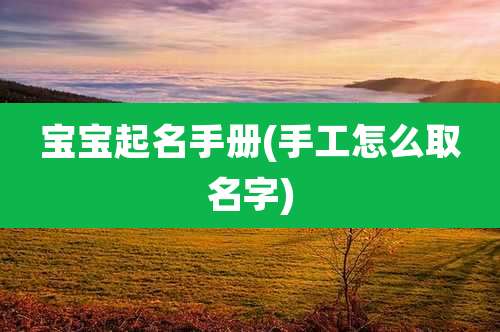 宝宝起名手册(手工怎么取名字)
