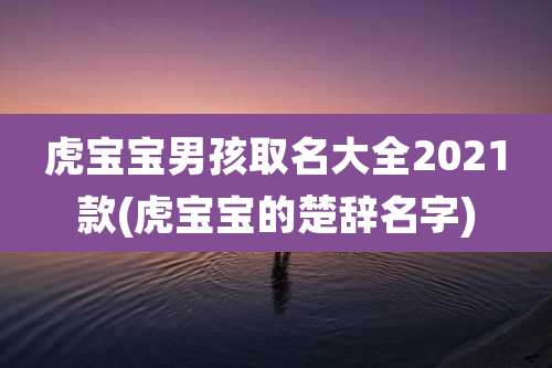 虎宝宝男孩取名大全2021款(虎宝宝的楚辞名字)