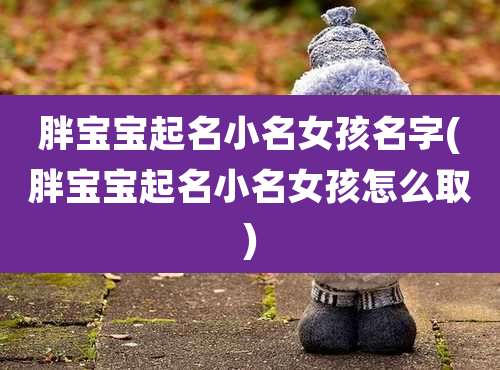 胖宝宝起名小名女孩名字(胖宝宝起名小名女孩怎么取)