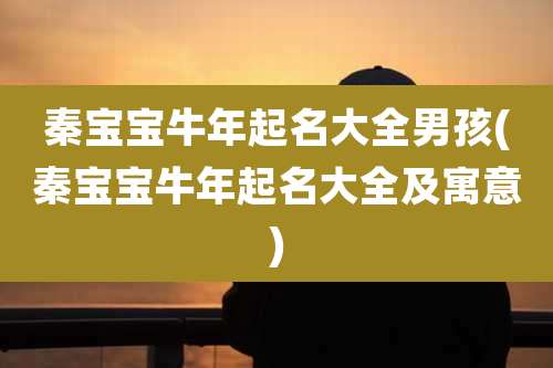 秦宝宝牛年起名大全男孩(秦宝宝牛年起名大全及寓意)