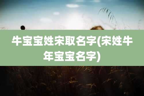 牛宝宝姓宋取名字(宋姓牛年宝宝名字)