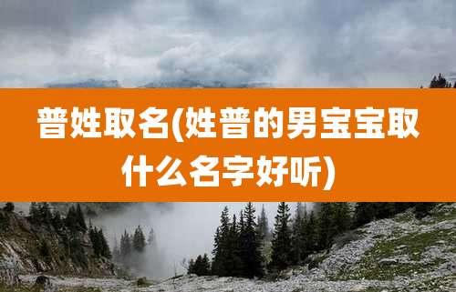 普姓取名(姓普的男宝宝取什么名字好听)