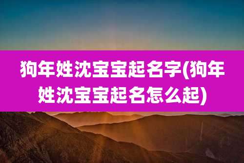 狗年姓沈宝宝起名字(狗年姓沈宝宝起名怎么起)