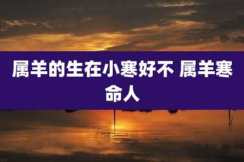 属羊的生在小寒好不 属羊寒命人