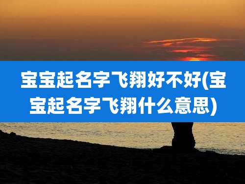 宝宝起名字飞翔好不好(宝宝起名字飞翔什么意思)
