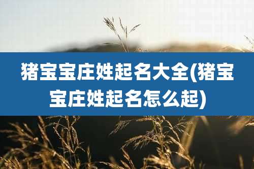 猪宝宝庄姓起名大全(猪宝宝庄姓起名怎么起)