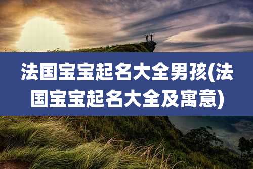 法国宝宝起名大全男孩(法国宝宝起名大全及寓意)