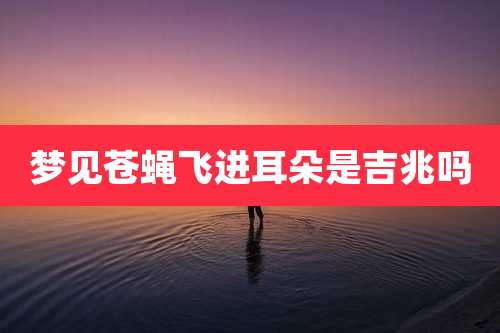 梦见苍蝇飞进耳朵是吉兆吗