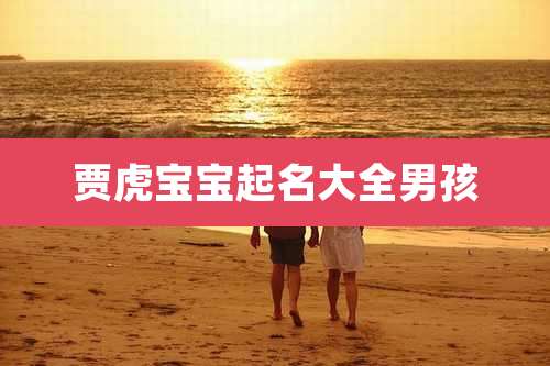 贾虎宝宝起名大全男孩