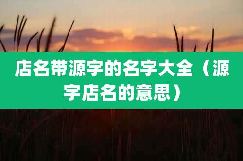 店名带源字的名字大全（源字店名的意思）