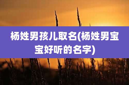 杨姓男孩儿取名(杨姓男宝宝好听的名字)