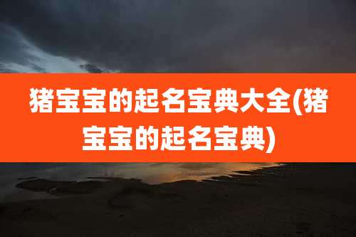 猪宝宝的起名宝典大全(猪宝宝的起名宝典)