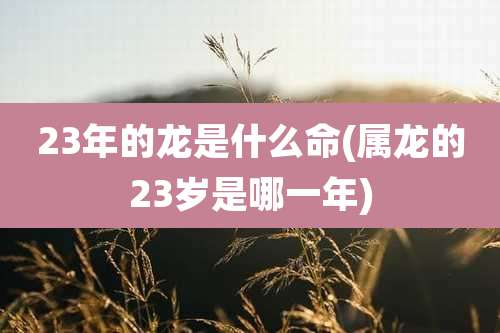 23年的龙是什么命(属龙的23岁是哪一年)