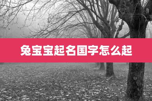 兔宝宝起名国字怎么起