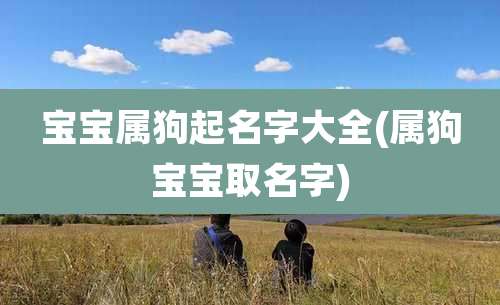 宝宝属狗起名字大全(属狗宝宝取名字)