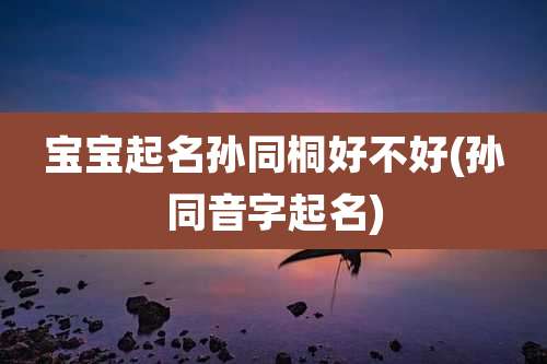 宝宝起名孙同桐好不好(孙同音字起名)