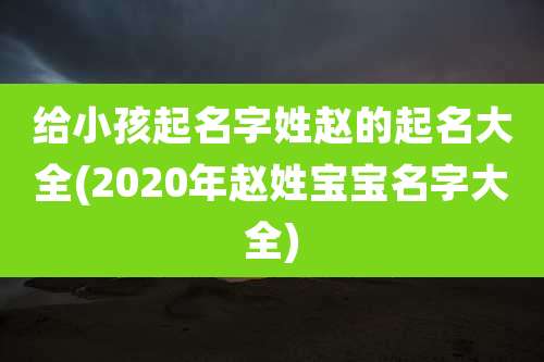 给小孩起名字姓赵的起名大全(2020年赵姓宝宝名字大全)
