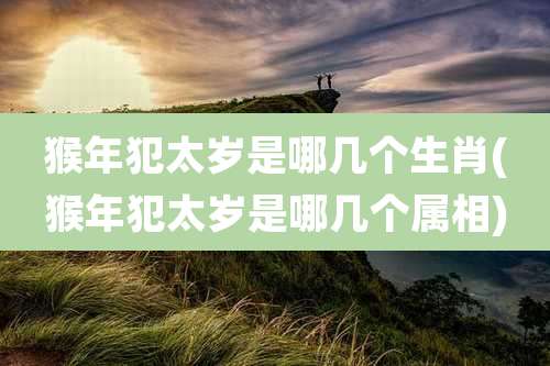 猴年犯太岁是哪几个生肖(猴年犯太岁是哪几个属相)