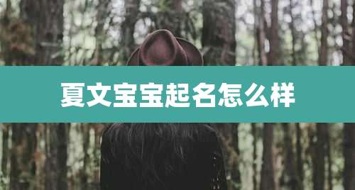 夏文宝宝起名怎么样
