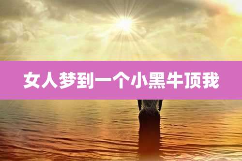 女人梦到一个小黑牛顶我