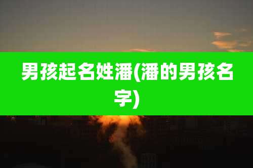 男孩起名姓潘(潘的男孩名字)