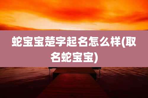 蛇宝宝楚字起名怎么样(取名蛇宝宝)