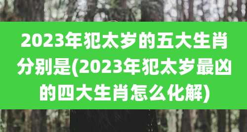 2023年犯太岁的五大生肖分别是(2023年犯太岁最凶的四大生肖怎么化解)