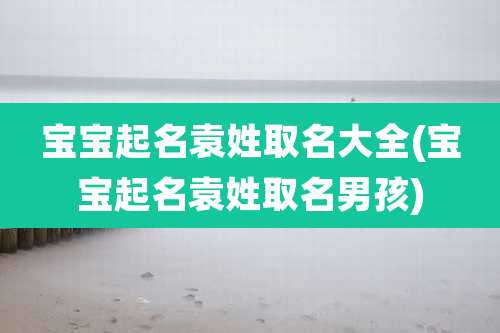 宝宝起名袁姓取名大全(宝宝起名袁姓取名男孩)