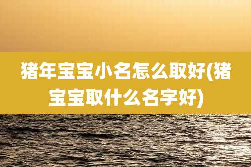 猪年宝宝小名怎么取好(猪宝宝取什么名字好)