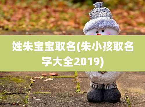 姓朱宝宝取名(朱小孩取名字大全2019)