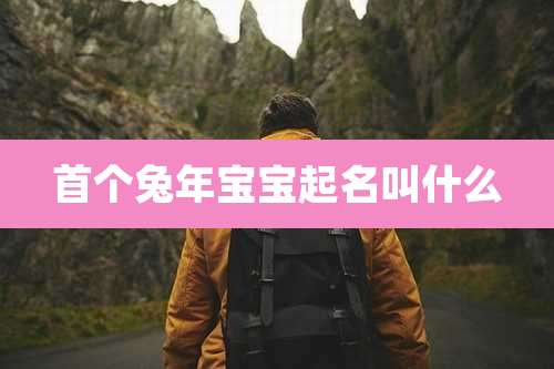 首个兔年宝宝起名叫什么