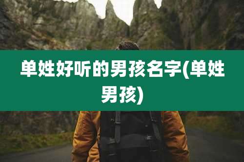 单姓好听的男孩名字(单姓男孩)