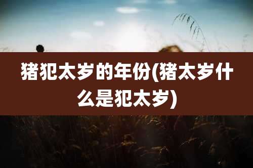 猪犯太岁的年份(猪太岁什么是犯太岁)