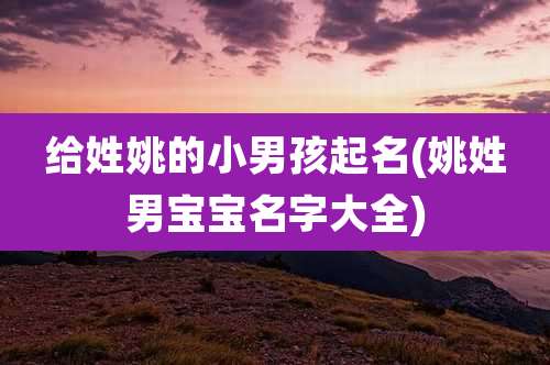 给姓姚的小男孩起名(姚姓男宝宝名字大全)