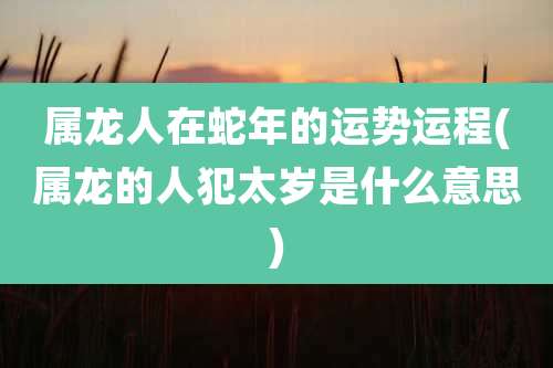 属龙人在蛇年的运势运程(属龙的人犯太岁是什么意思)